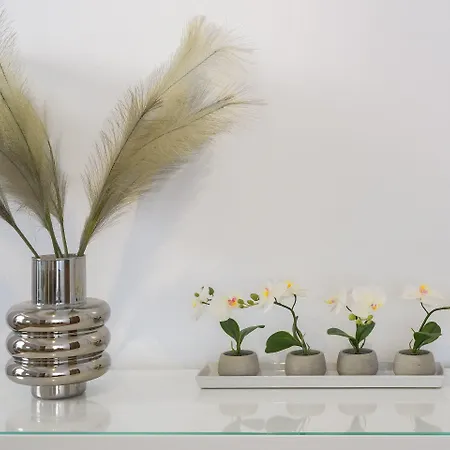 Apartment Harmony Elegant